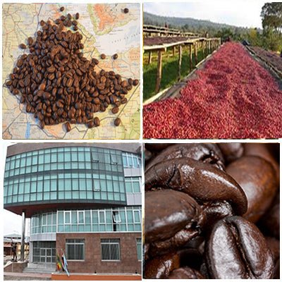 Ethiopia Natural Single Origin Coffee - coffee beans on map, drying cherries, close up beans