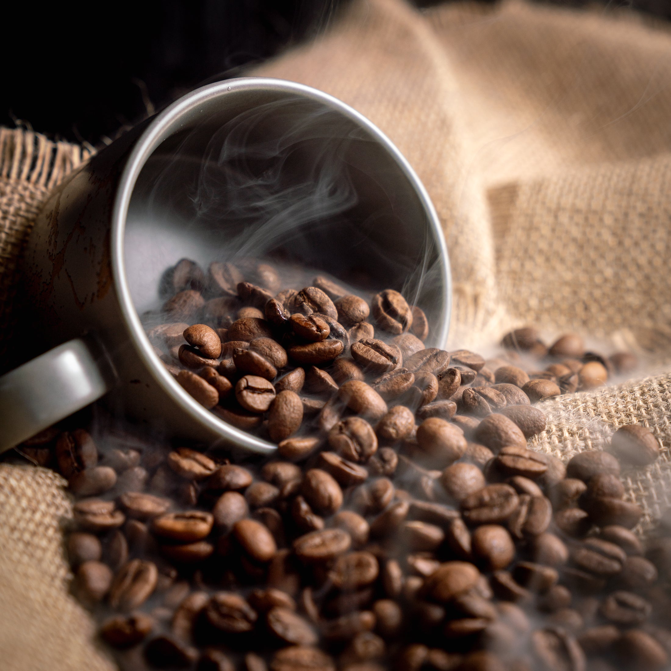 Accelerate Blend | Medium Roasted Whole Specialty Coffee Beans (250g)