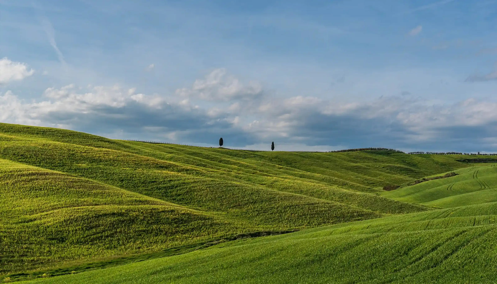 Five Eco-Friendly Outdoor Practices for Nature Lovers