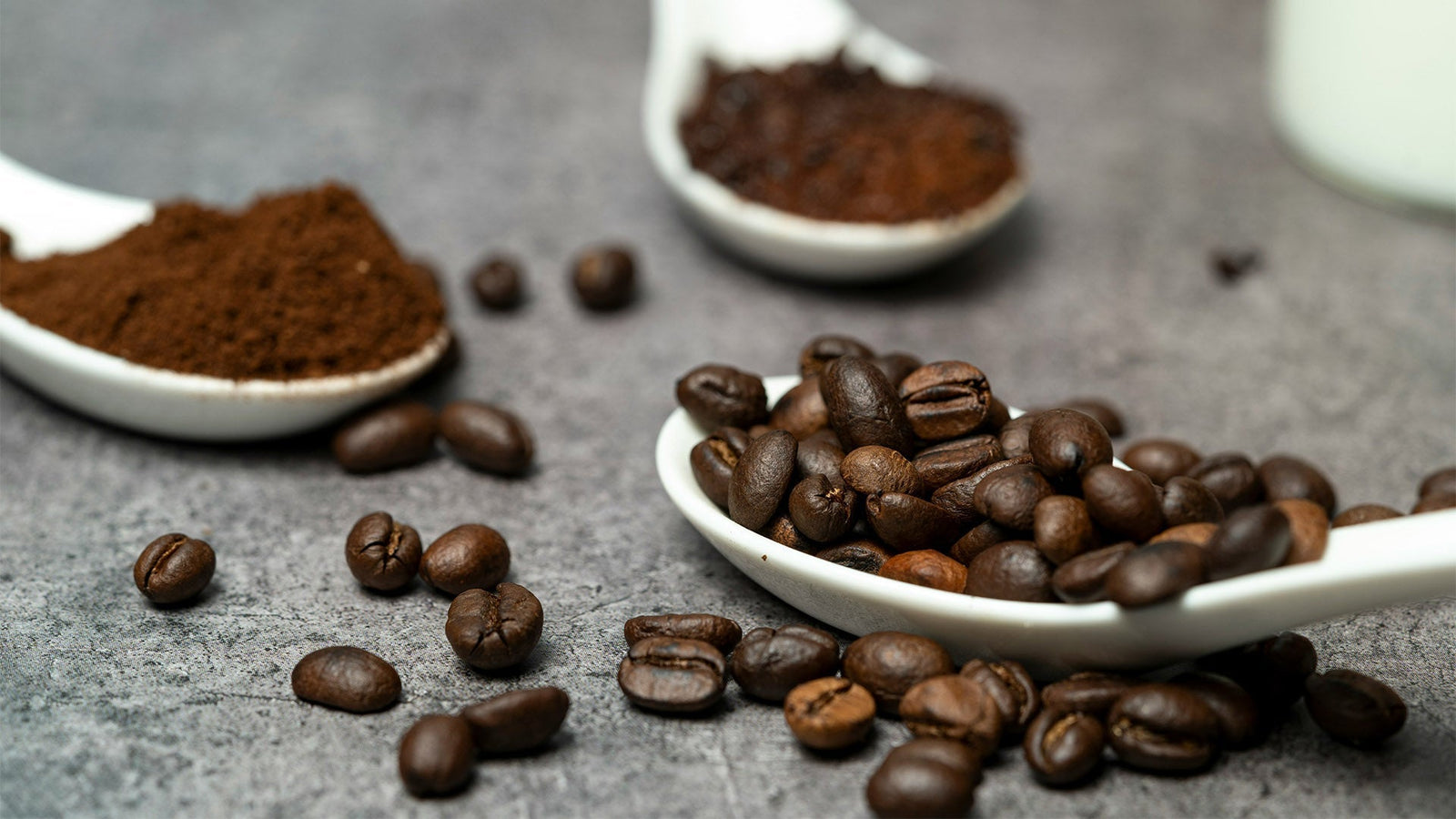 A close-up shows whole roasted coffee beans in a white spoon, contrasted with scoops of fine ground coffee on a dark gray, textured background