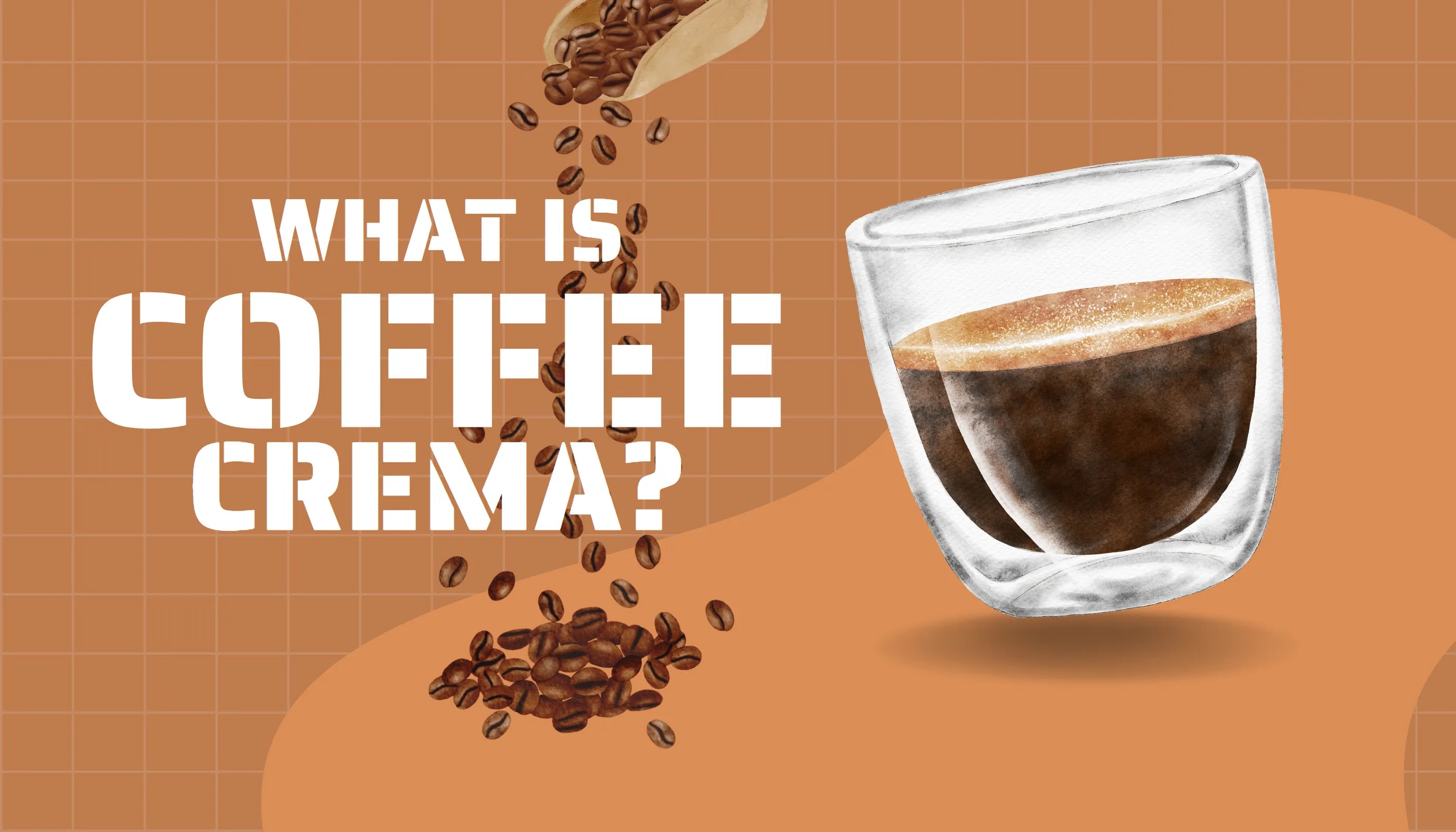 Ever Wondered Why Crema Happens?
