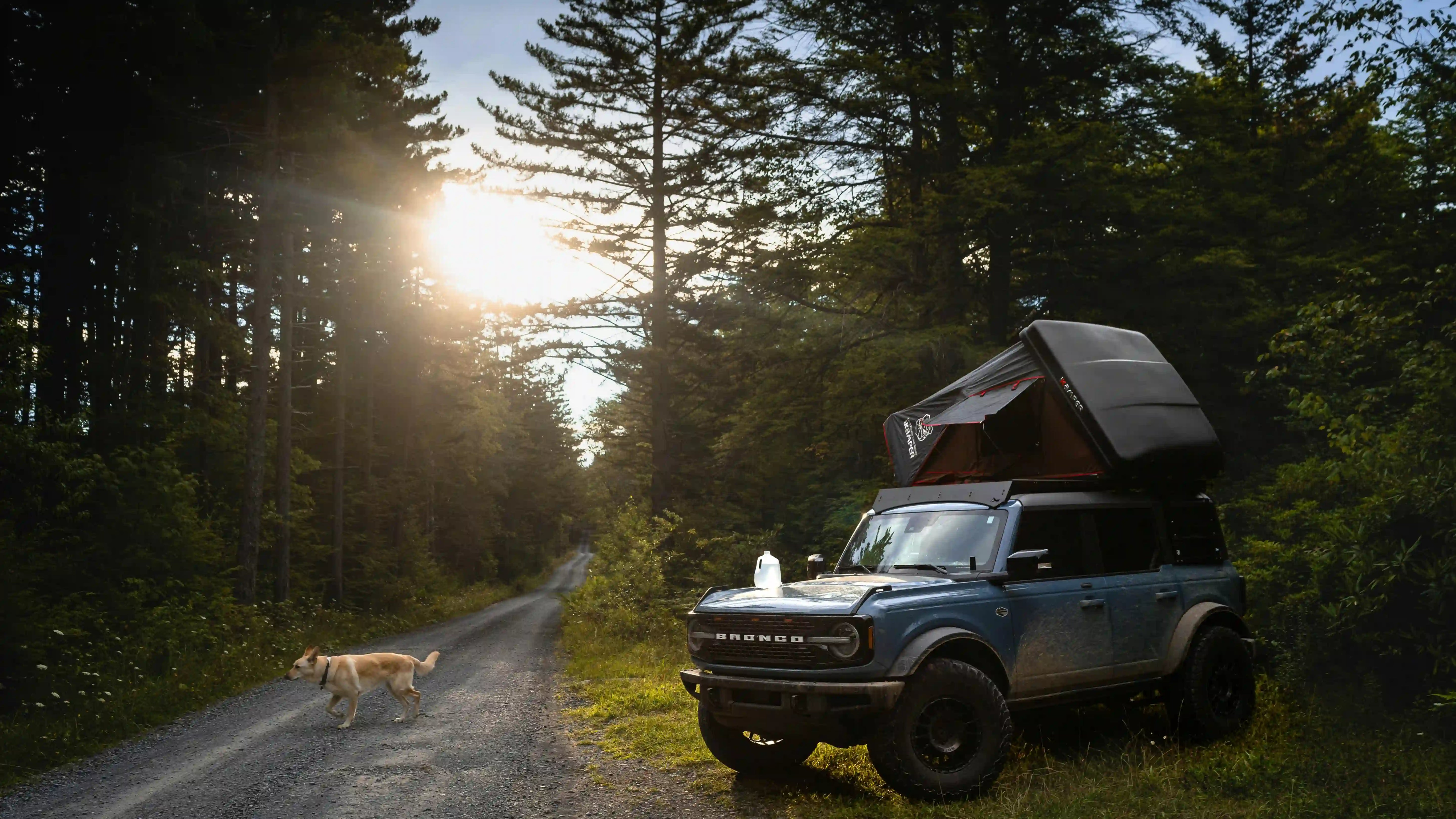 A car with a rooftop tent on a forest trail, perfect for a morning coffee camping setup.