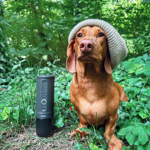 Dog in a knitted hat beside Nano Portable Espresso Machine outdoors